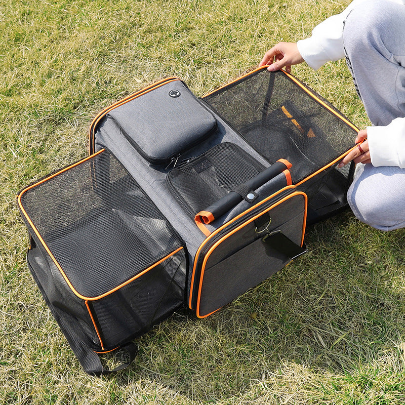 The Ultimate Pet Travel Companion