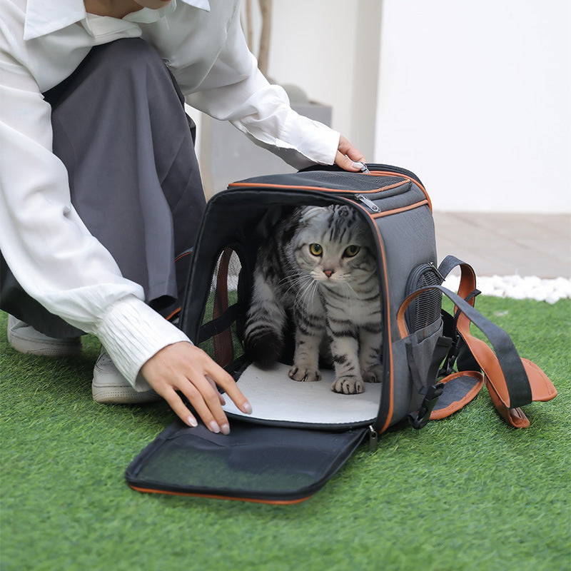 Stylish Pet Travel Tote