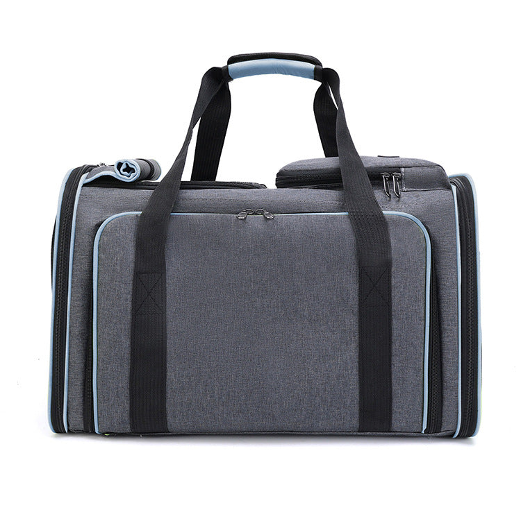 The Ultimate Pet Travel Companion