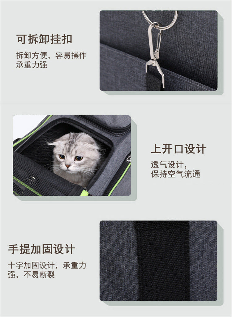 The Ultimate Pet Travel Companion