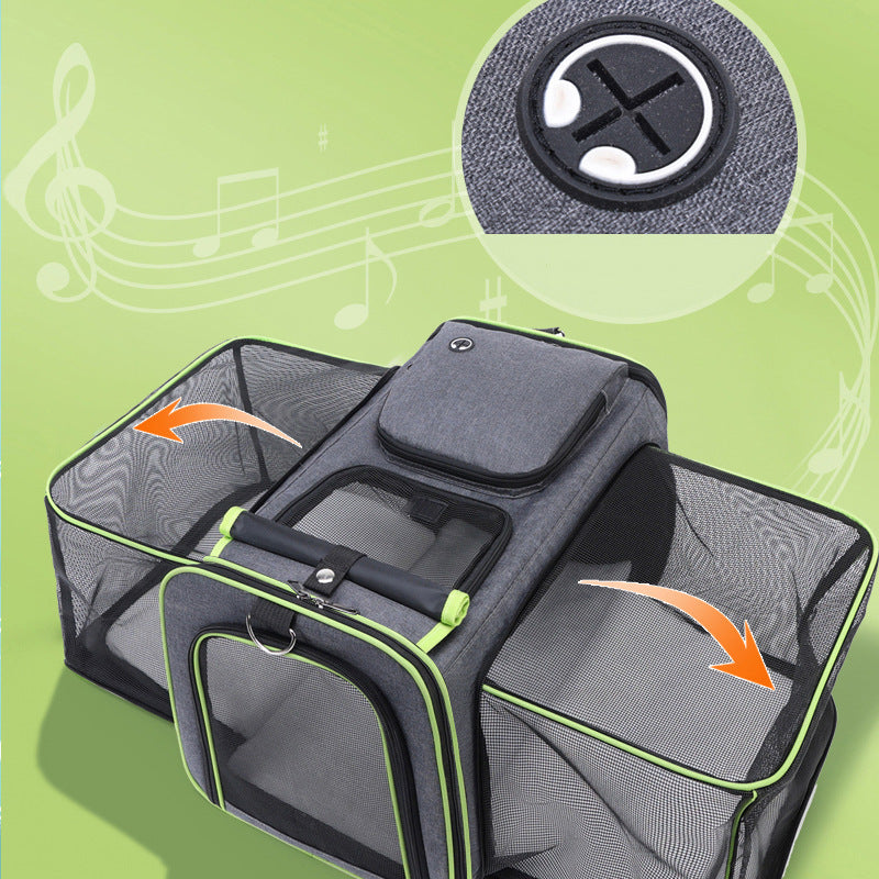 The Ultimate Pet Travel Companion