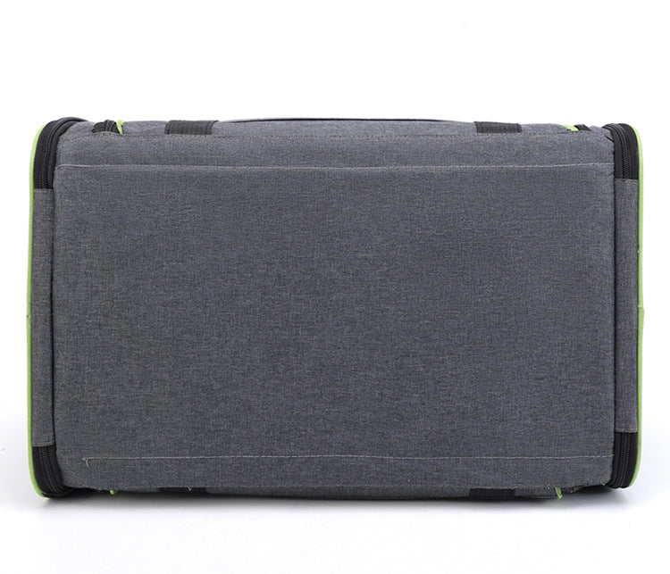 The Ultimate Pet Travel Companion