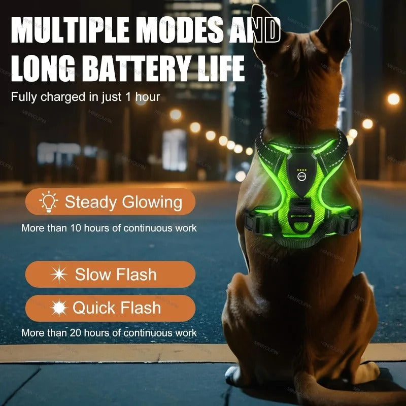 Rechargeable LED Glowing Luminous Dog Harnesses