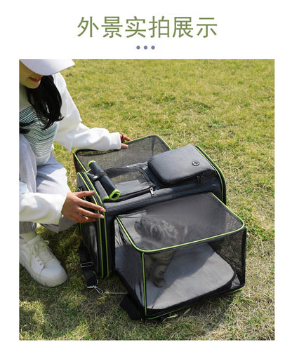 The Ultimate Pet Travel Companion
