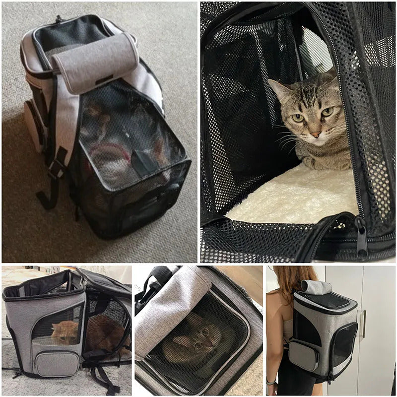 CozyPaws Expandable Pet Backpack