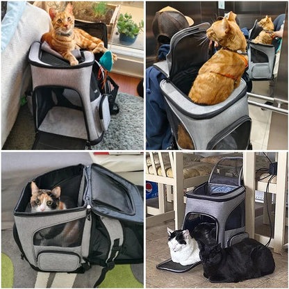 CozyPaws Expandable Pet Backpack