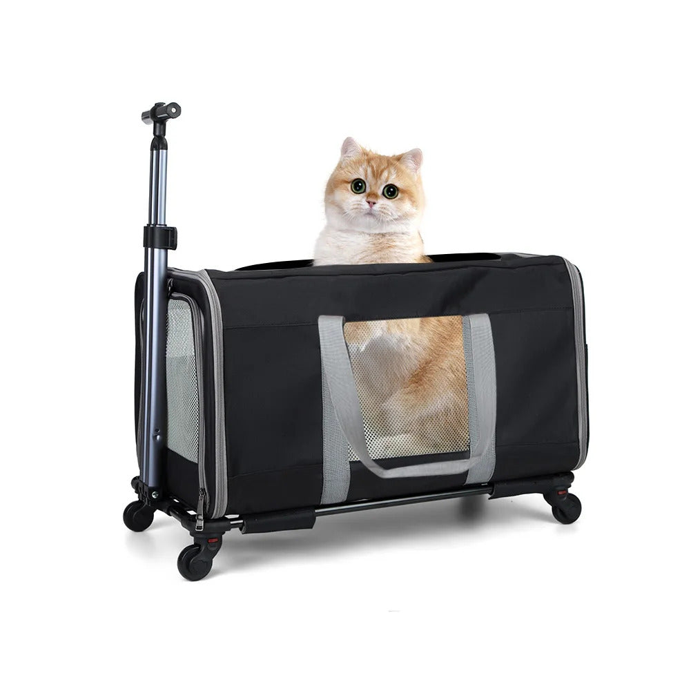 Easy-Roll Pet Carrier