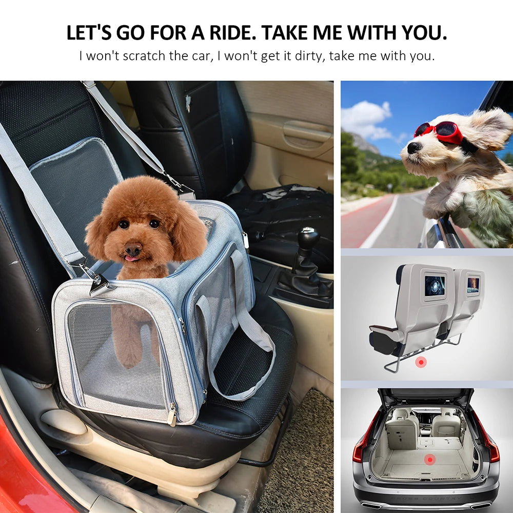 Small Dog/Cat Soft Backpack Carrier - Airline Approved