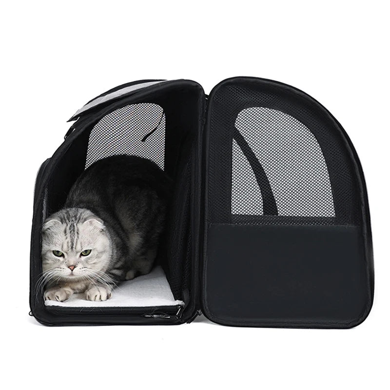 Expandable Cat Backpack Adventure
