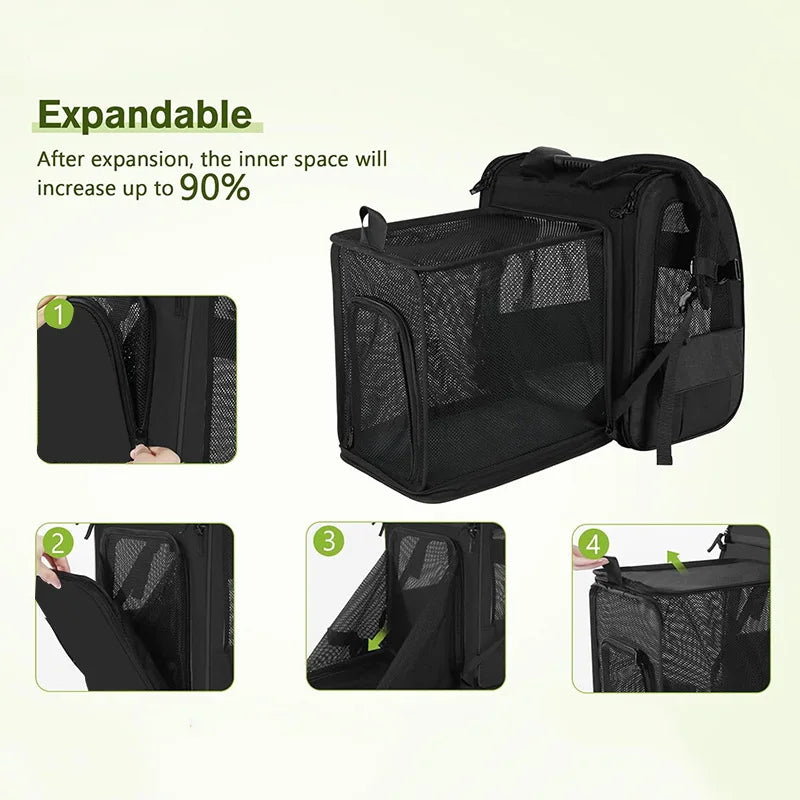 Expandable Cat Backpack Adventure