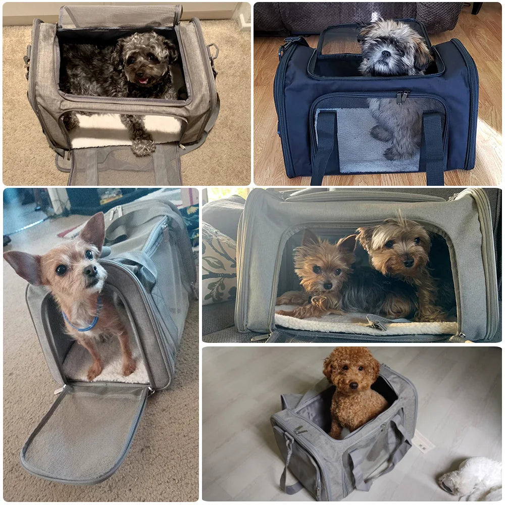 Small Dog/Cat Soft Backpack Carrier - Airline Approved
