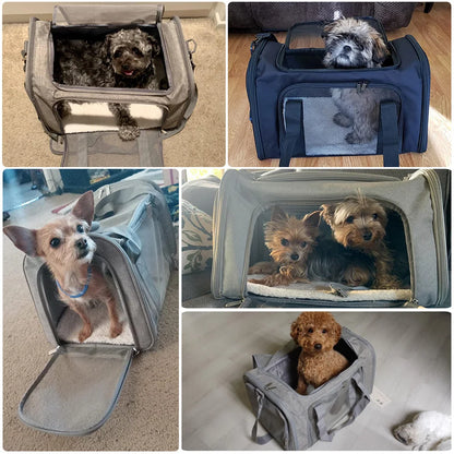 Small Dog/Cat Soft Backpack Carrier - Airline Approved