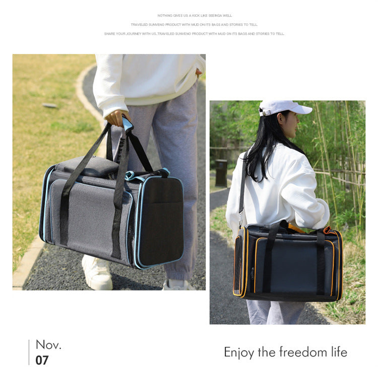 The Ultimate Pet Travel Companion