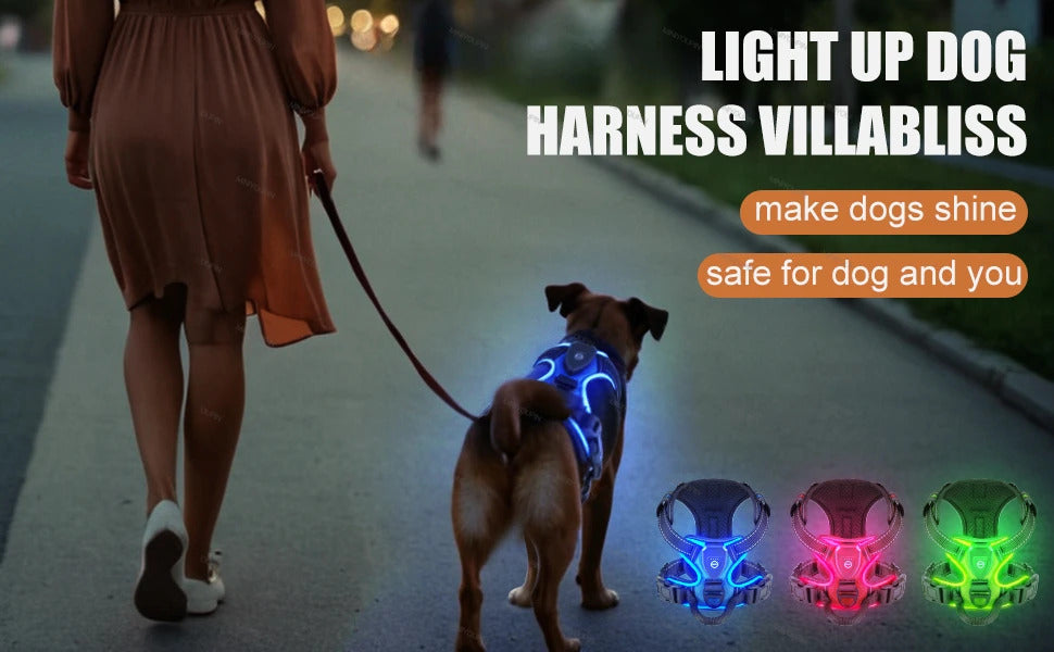 Rechargeable LED Glowing Luminous Dog Harnesses