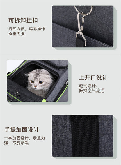 The Ultimate Pet Travel Companion