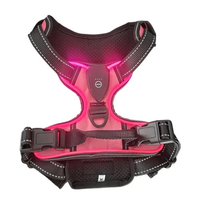 Rechargeable LED Glowing Luminous Dog Harnesses