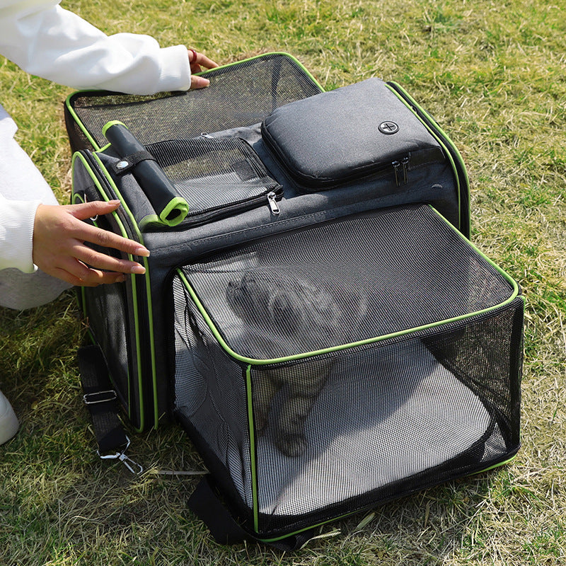 The Ultimate Pet Travel Companion